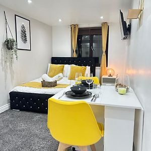 Deluxe Studio